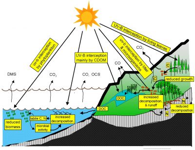 Podíl životního prostředí na snížení ozónové vrstvy